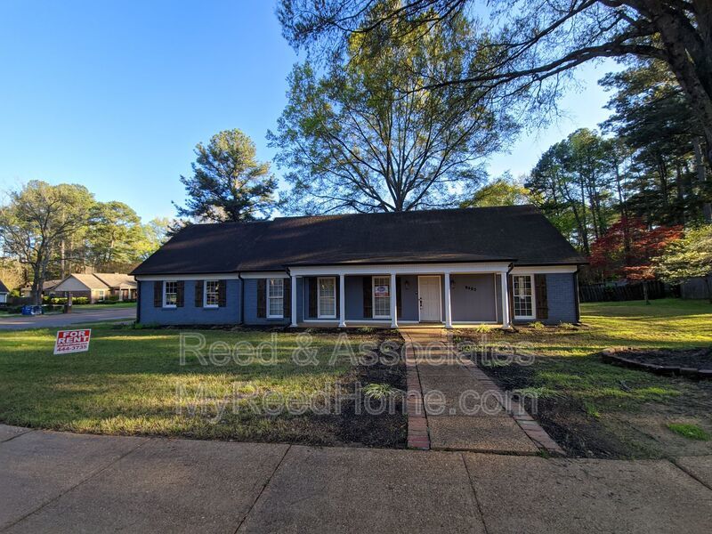 Spacious: 4 Bedroom in Germantown! property image