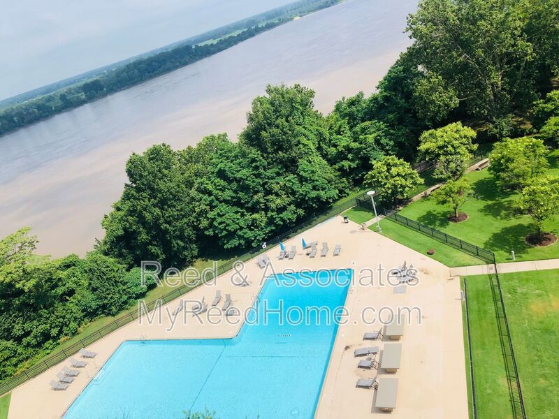 Furnished Downtown Condo with Beautiful Views!!! property image