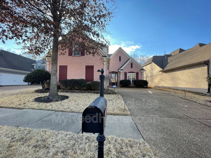 Collierville Home with TONS of space! property image